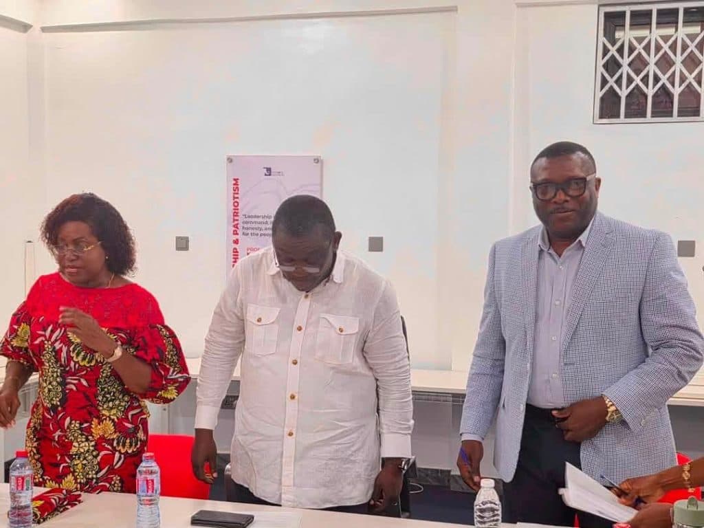 NPP Inaugurates National Elections Committee Ahead of National Conference - image 2