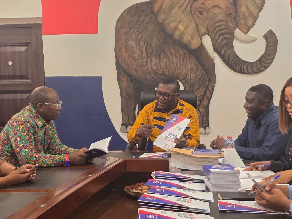 Nominations Open for NPP National Officers Elections - image 4